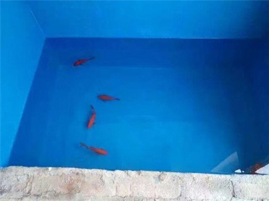 厉害了！大师倾囊相授防水工艺、竟敢保证30年都不会漏水？